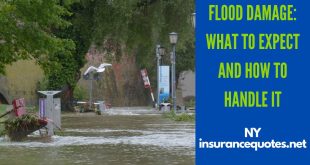 Flood Damage: What to Expect and How to Handle It